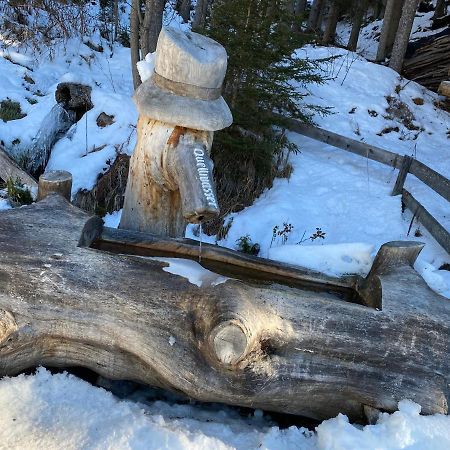 Ferienwohnung 4 Personen Alleinlage Am Wald Naehe Skigebiet Hochzeiger Jerzens Bagian luar foto