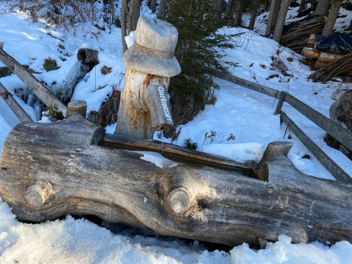Ferienwohnung 4 Personen Alleinlage Am Wald Naehe Skigebiet Hochzeiger Jerzens Bagian luar foto
